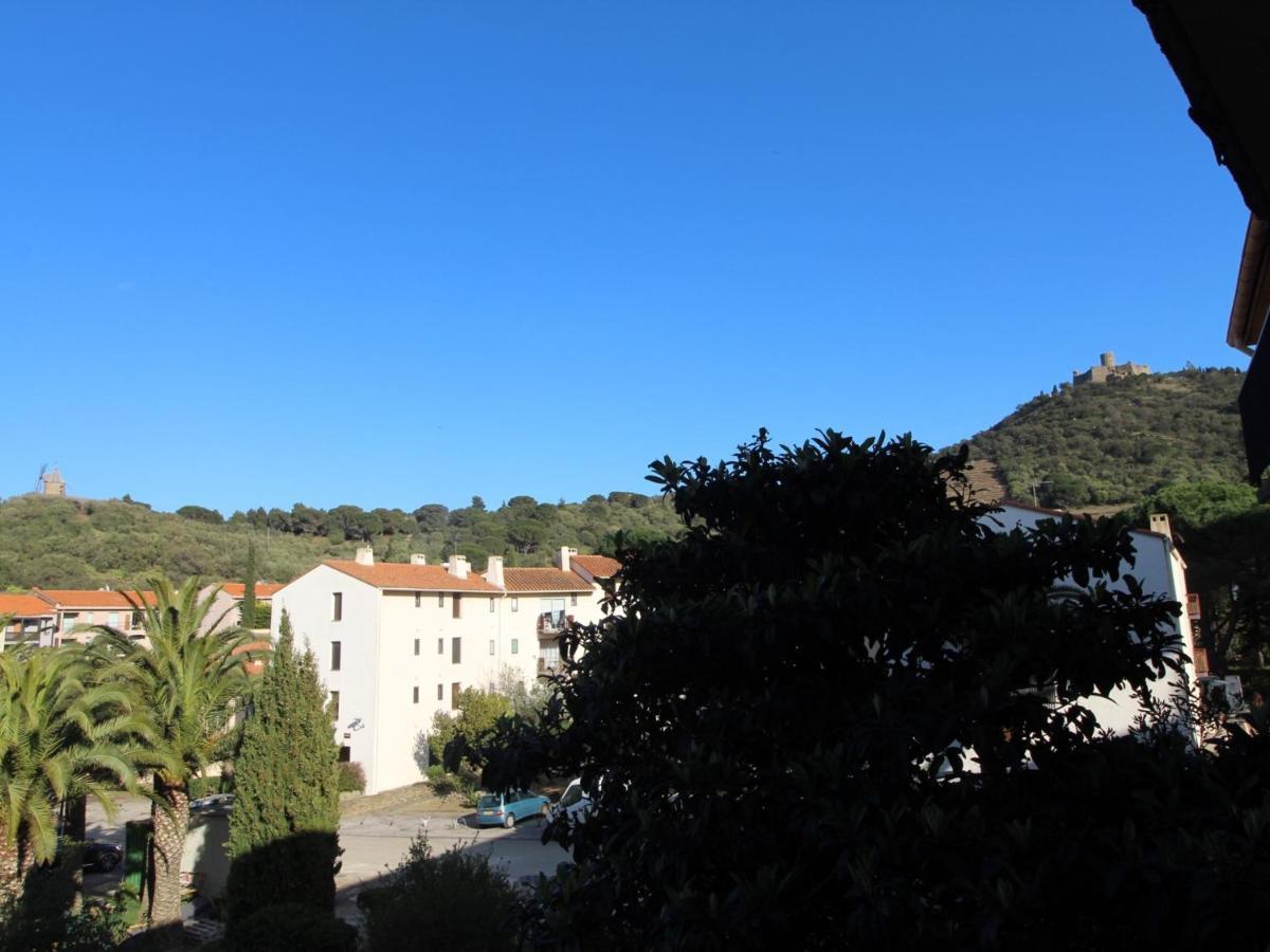 Grand Appart. Avec Terrasse A 300M De La Plage A Collioure - Fr-1-309-261 Apartment Екстериор снимка